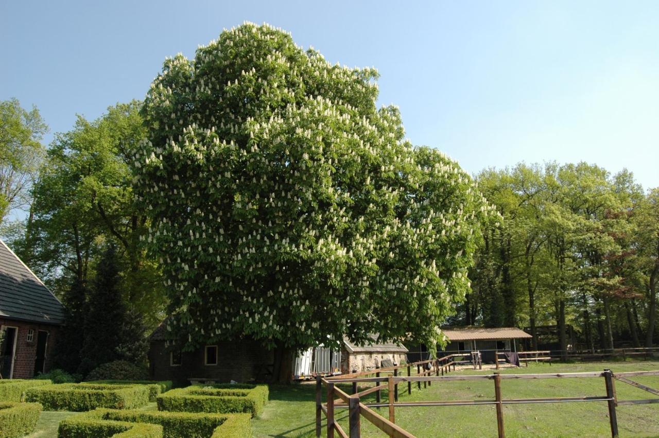 Erve Het Roolvink Boerderij Appartementen 40-50 M2 Enschede Luaran gambar