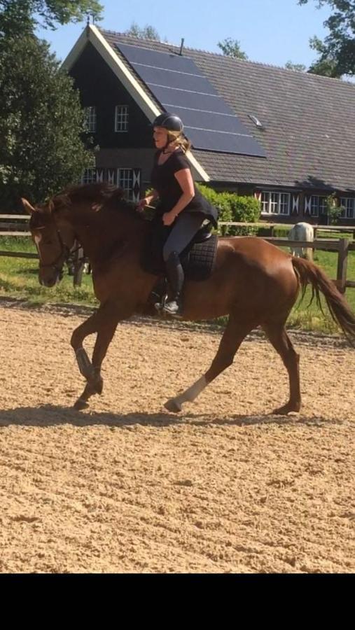 Erve Het Roolvink Boerderij Appartementen 40-50 M2 Enschede Luaran gambar