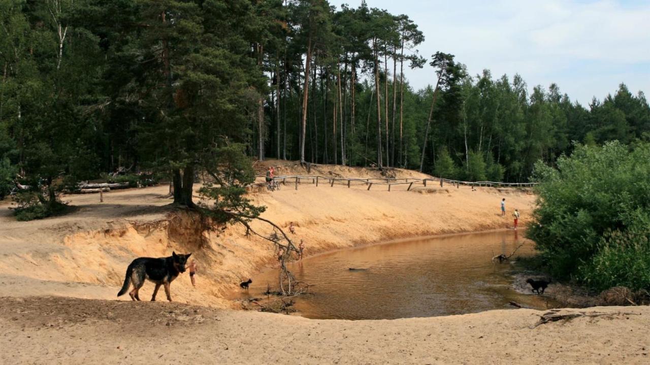 Erve Het Roolvink Boerderij Appartementen 40-50 M2 Enschede Luaran gambar