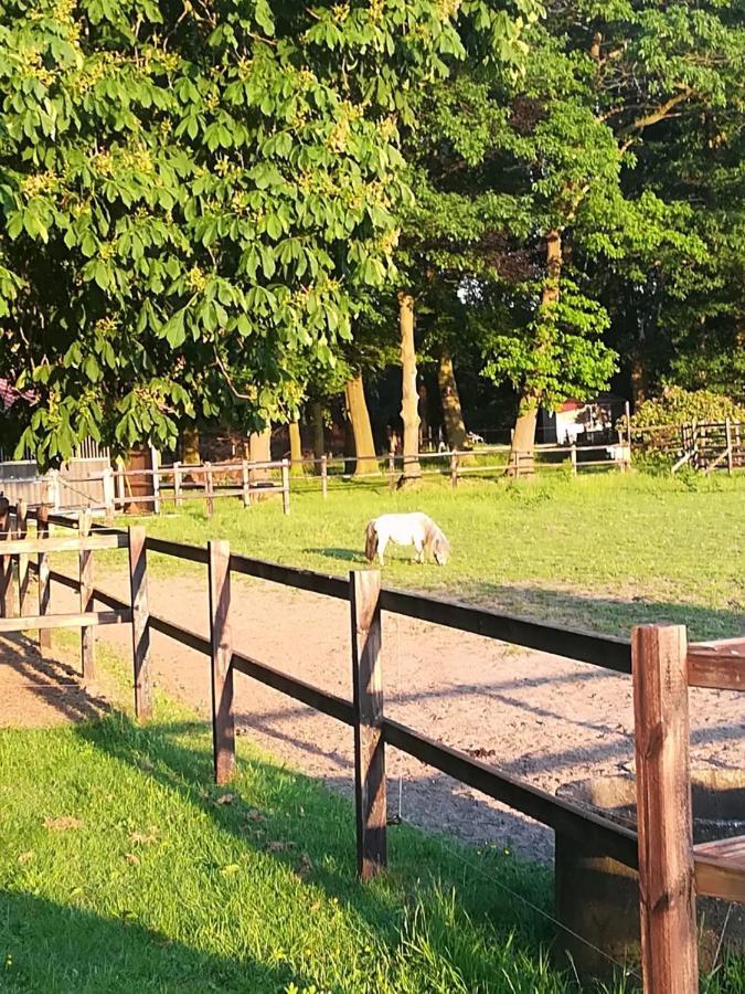 Erve Het Roolvink Boerderij Appartementen 40-50 M2 Enschede Luaran gambar